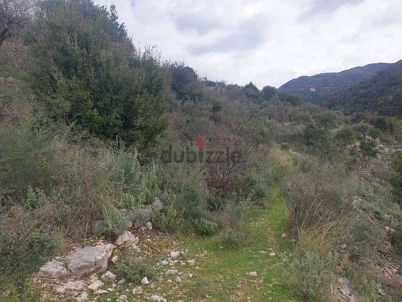2590m2 Land in eddeh,Batroun Lands for Sale 115346667