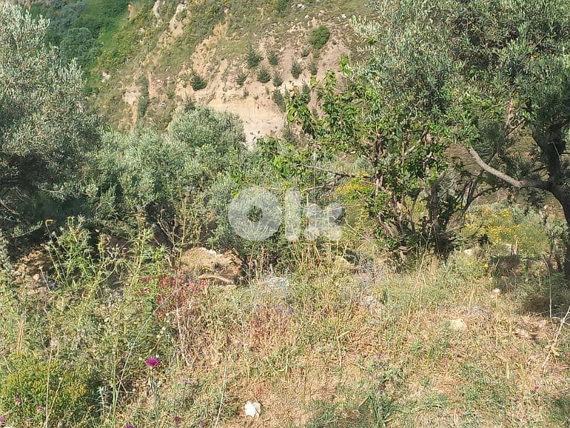 ارض للبيع في شارون جبل عاليه land for sale in sharon mount lebanon