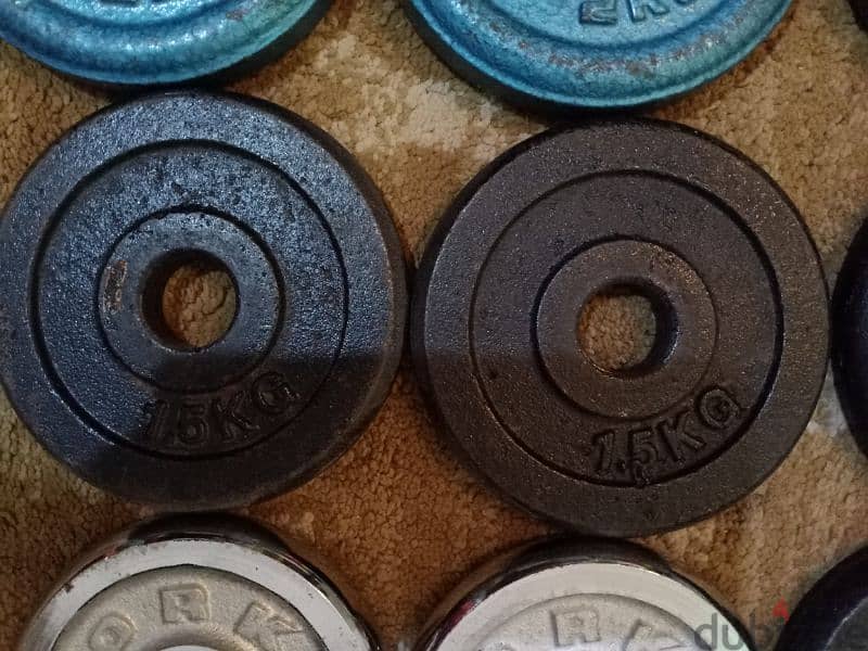 gym equipment for sale with 96 kilo plates Sporting Goods 127384043