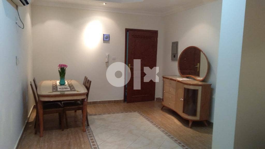 2 bhk full furnished apartment Mansoura Apartments for Rent 101039471