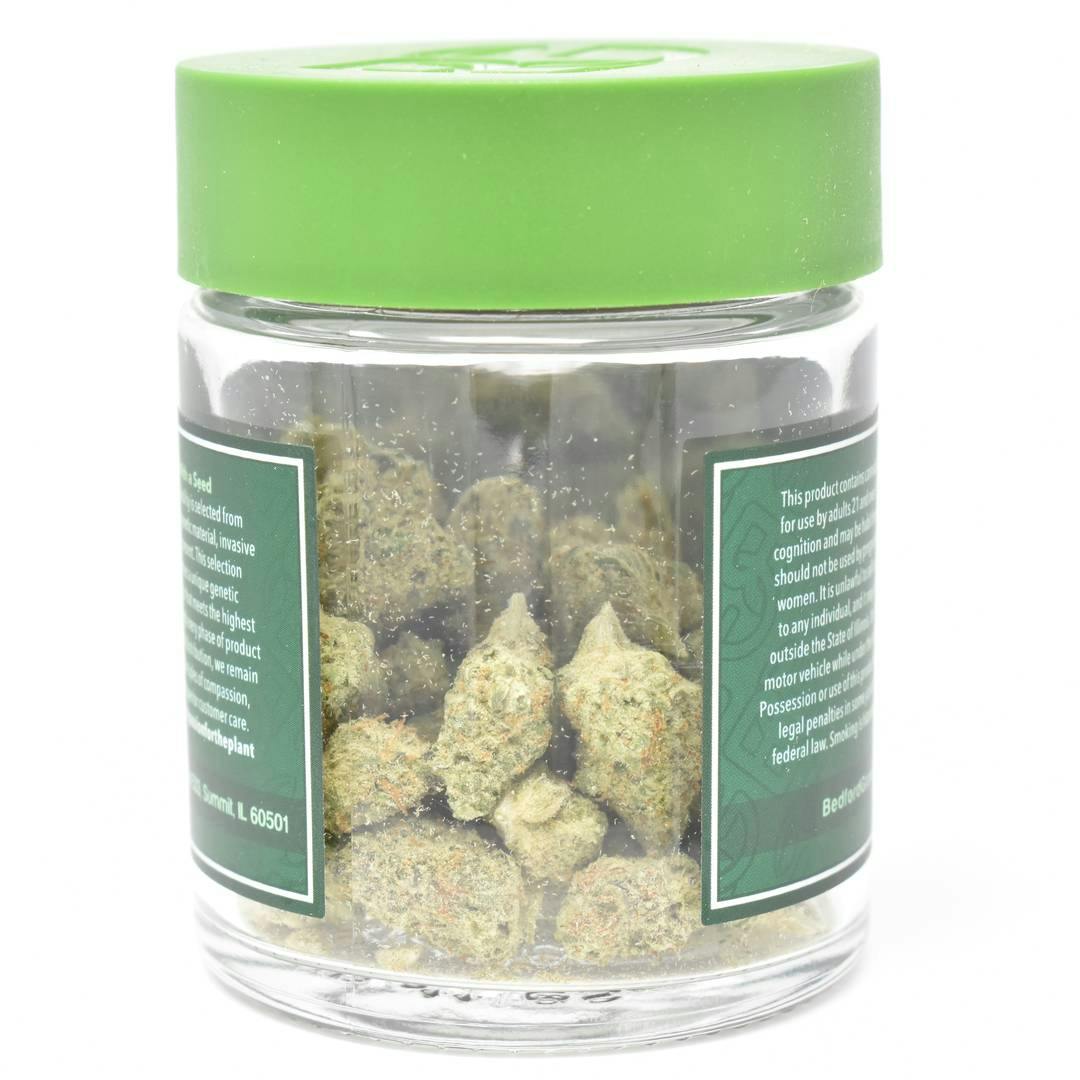 Bedford Grow Mecha Chem Diesel Popcorn Flower