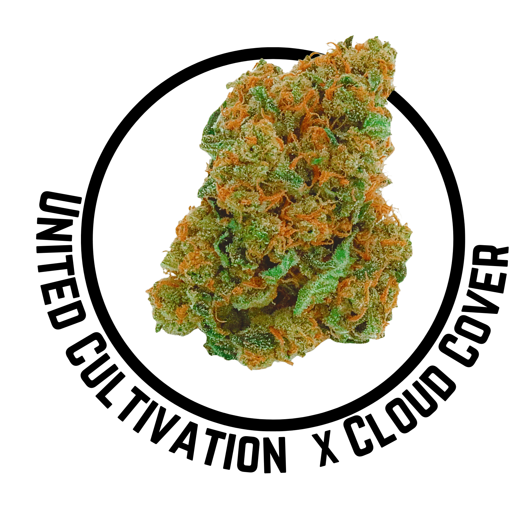 Jonagold 3.5g United Cultivation