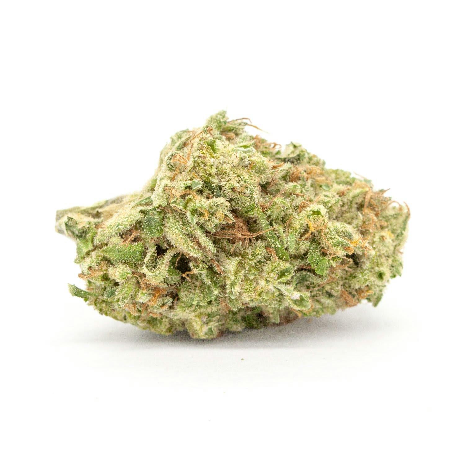 Home Cannabis Dispensary Hobbs NM Mindscape Dispensary