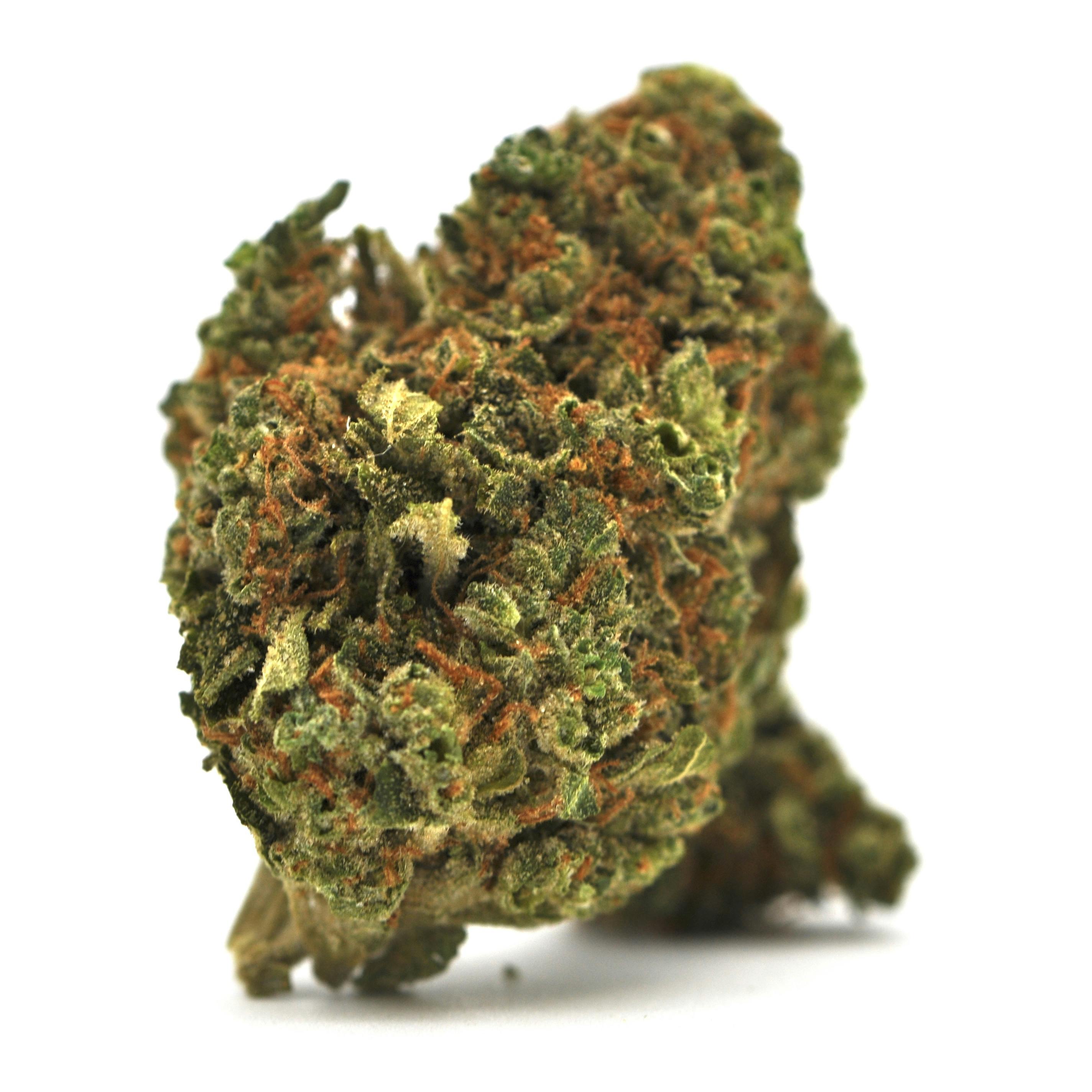 Flower First Puck x Red Lebanese Hash Plant 3.5g Prepackaged Flower 1