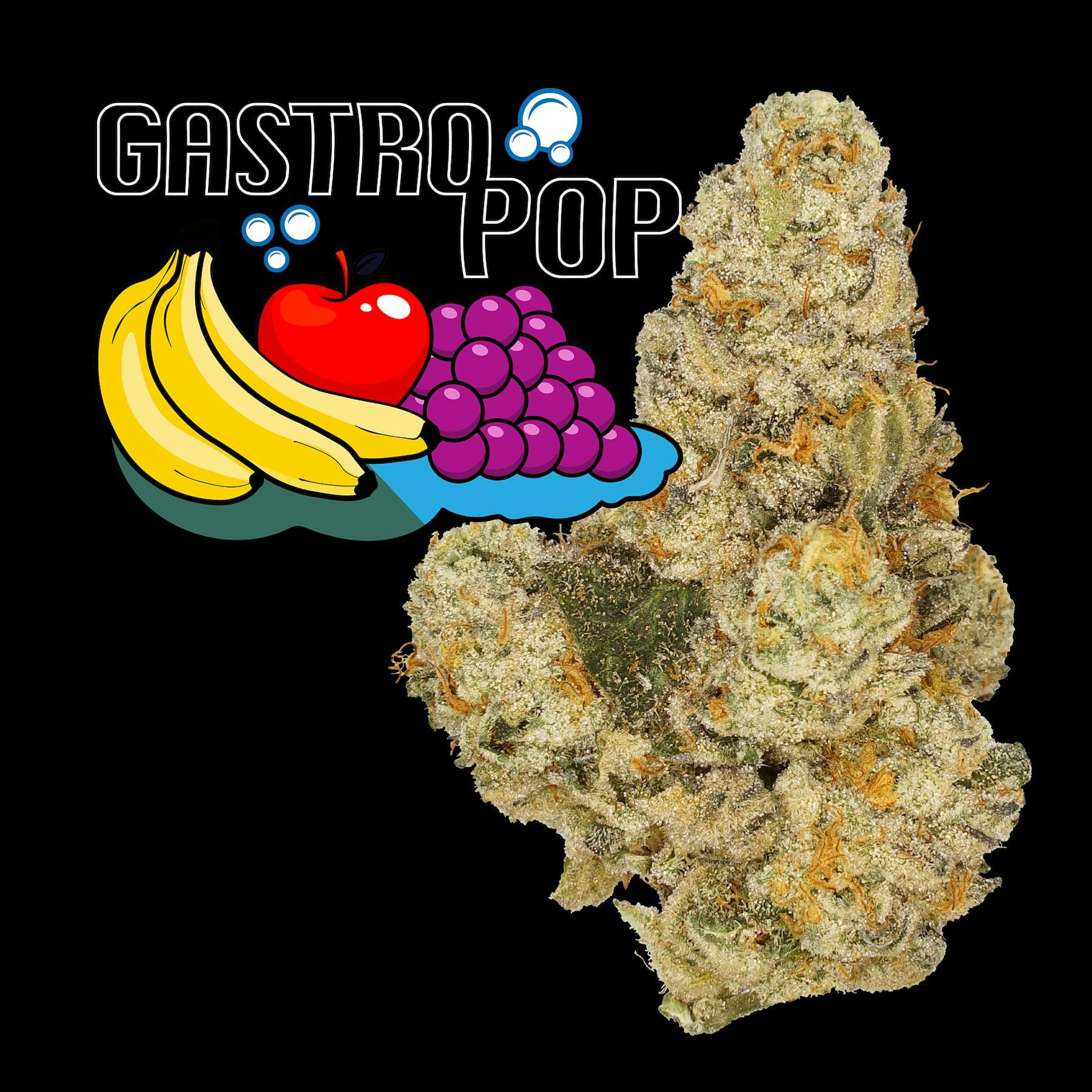 (Nimbus) Gastro Pop (S) • Capeway Cannabis