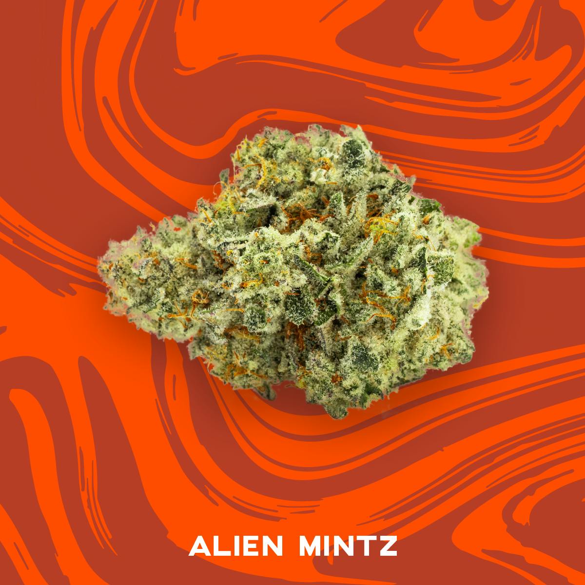 Vivid Alien Mints Pre Pack for Sale Missouri ReLeaf Resources