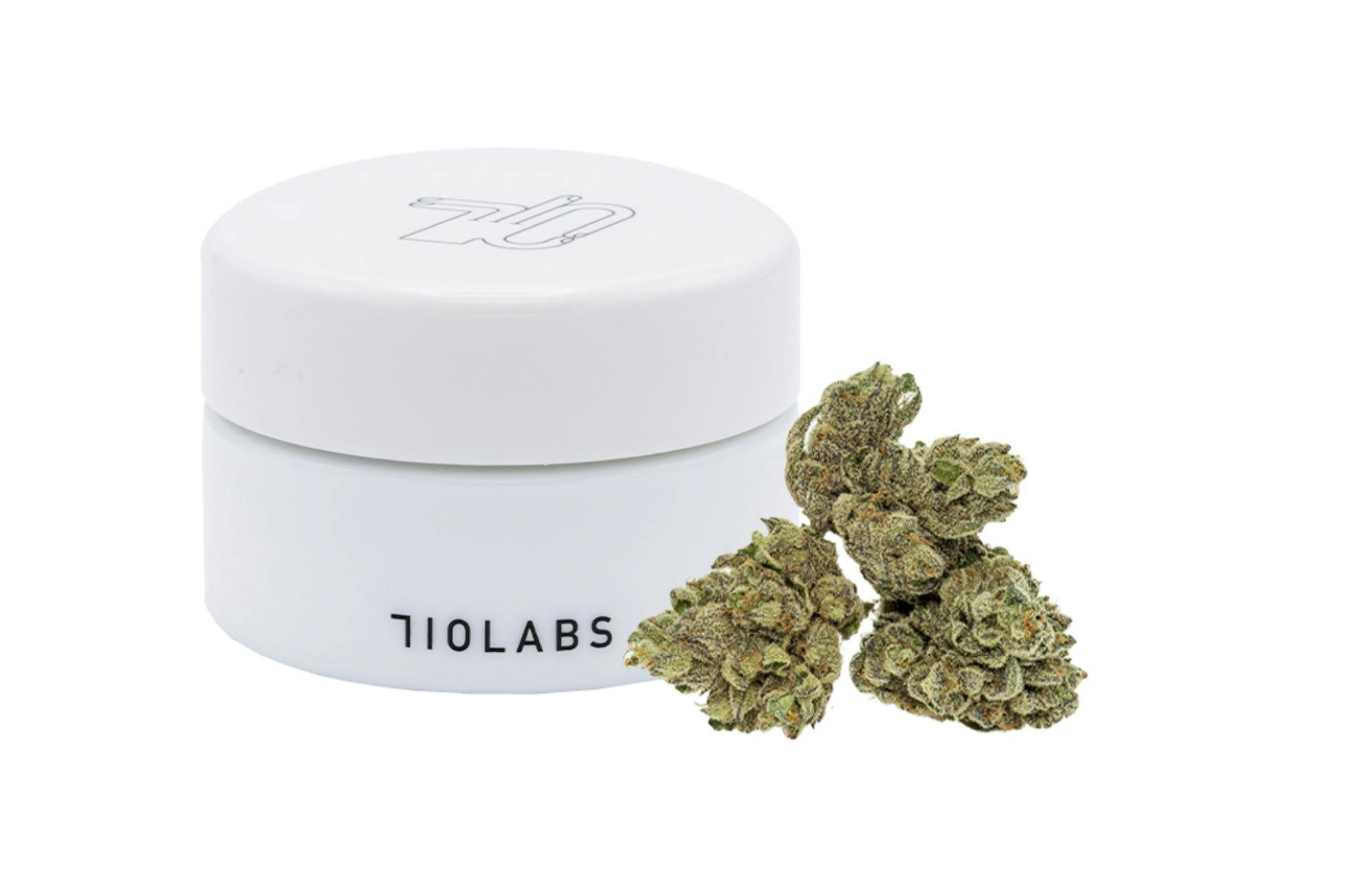 Cherry Zest 4 Persy Flower Embarc