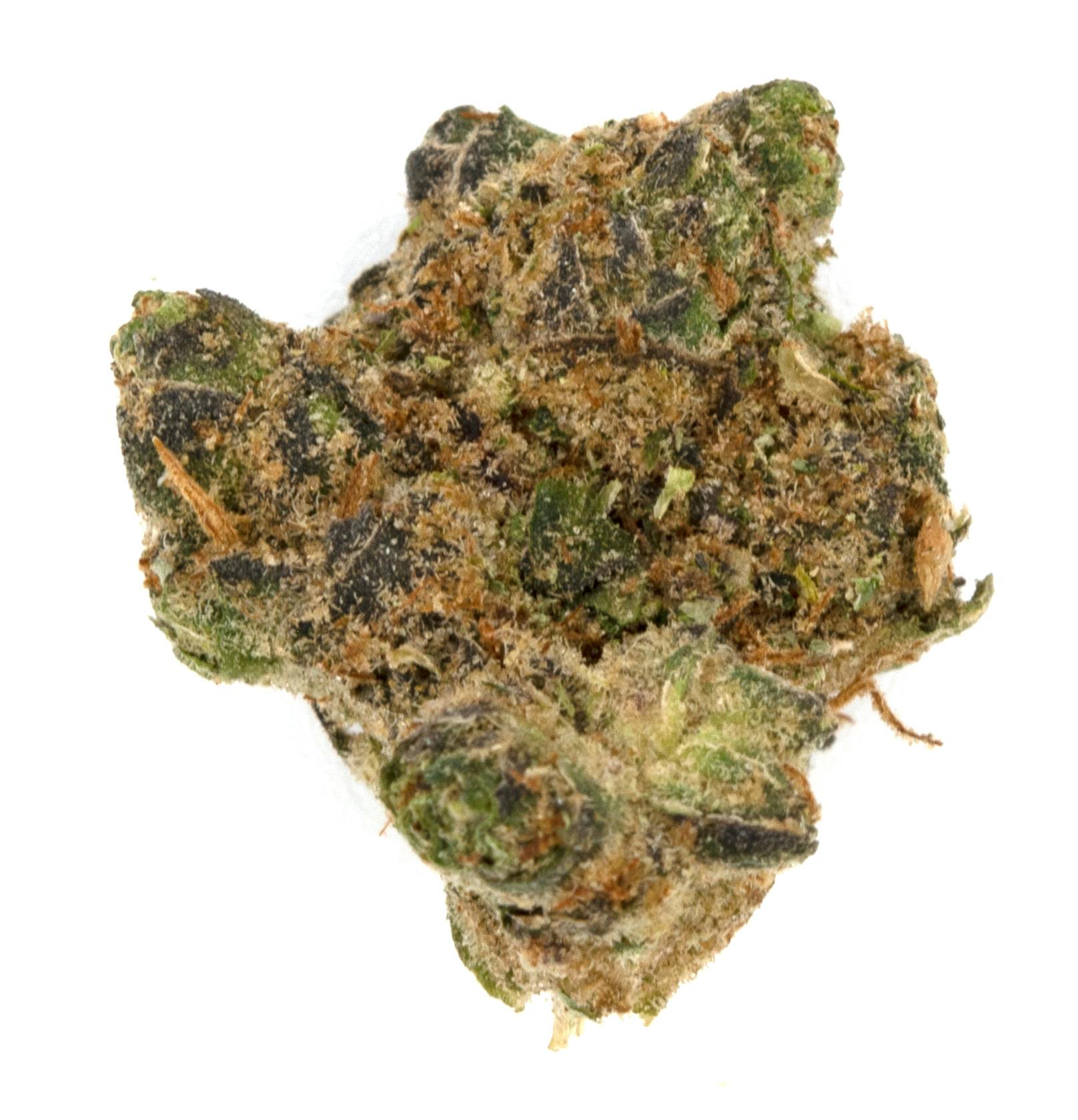 Garlic Breath Pegasus Flower Bloom City