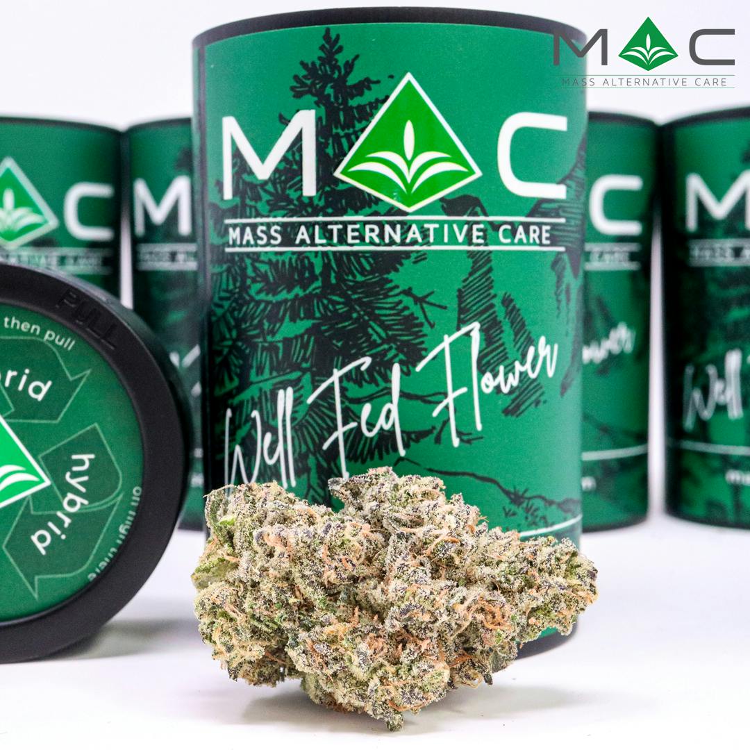 Z Animal x Bully Kush Flower 3.5g UpTop Cannabis Dispensary