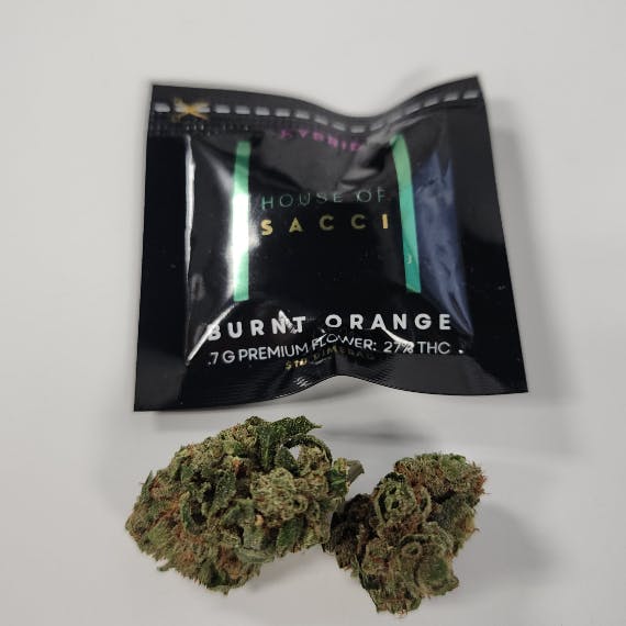 House of Sacci House Of Sacci Burnt Orange Dime Bag Cannabis for Sale