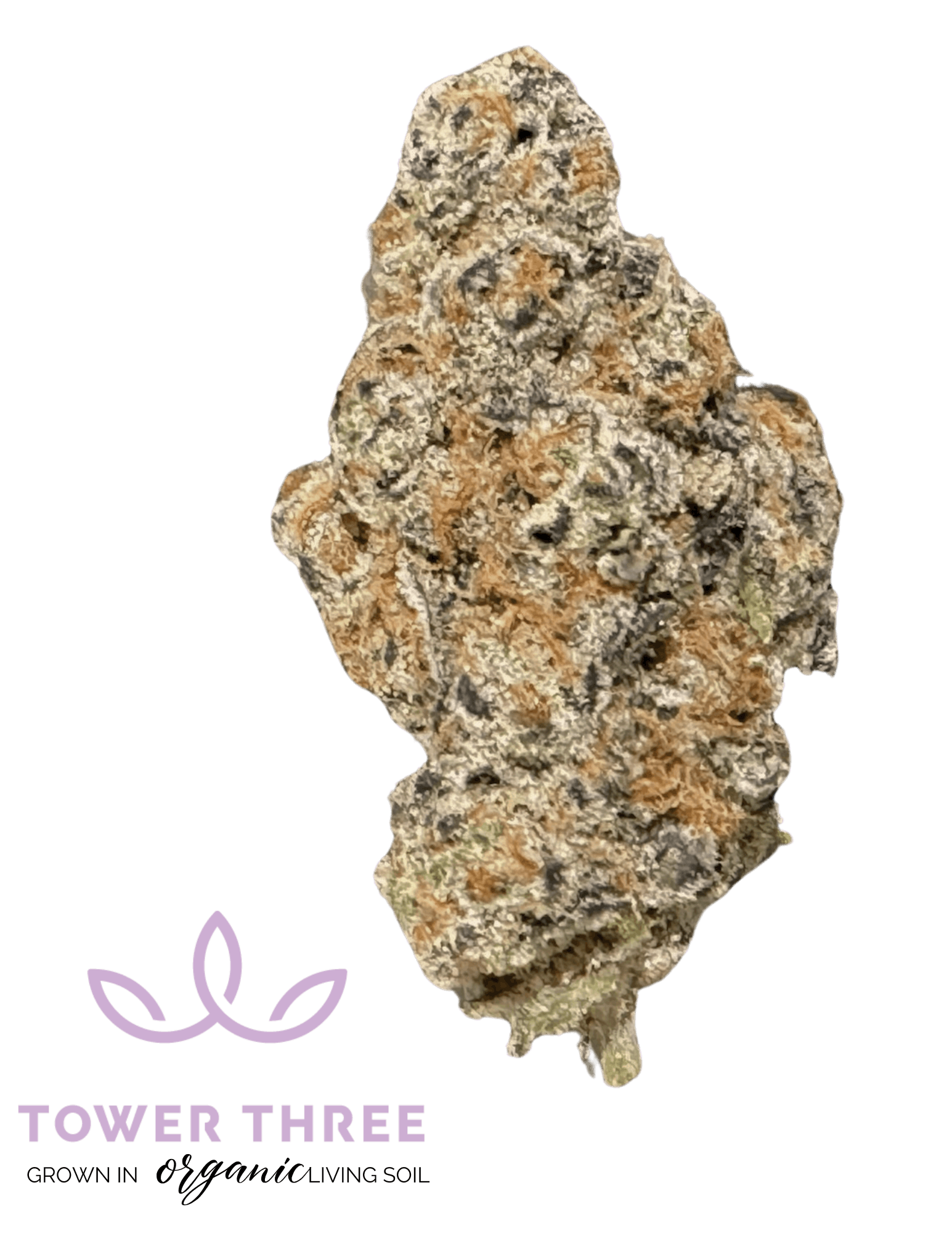 Tower Three Glitter Bomb Tower Three Elevated Roots Dispensary