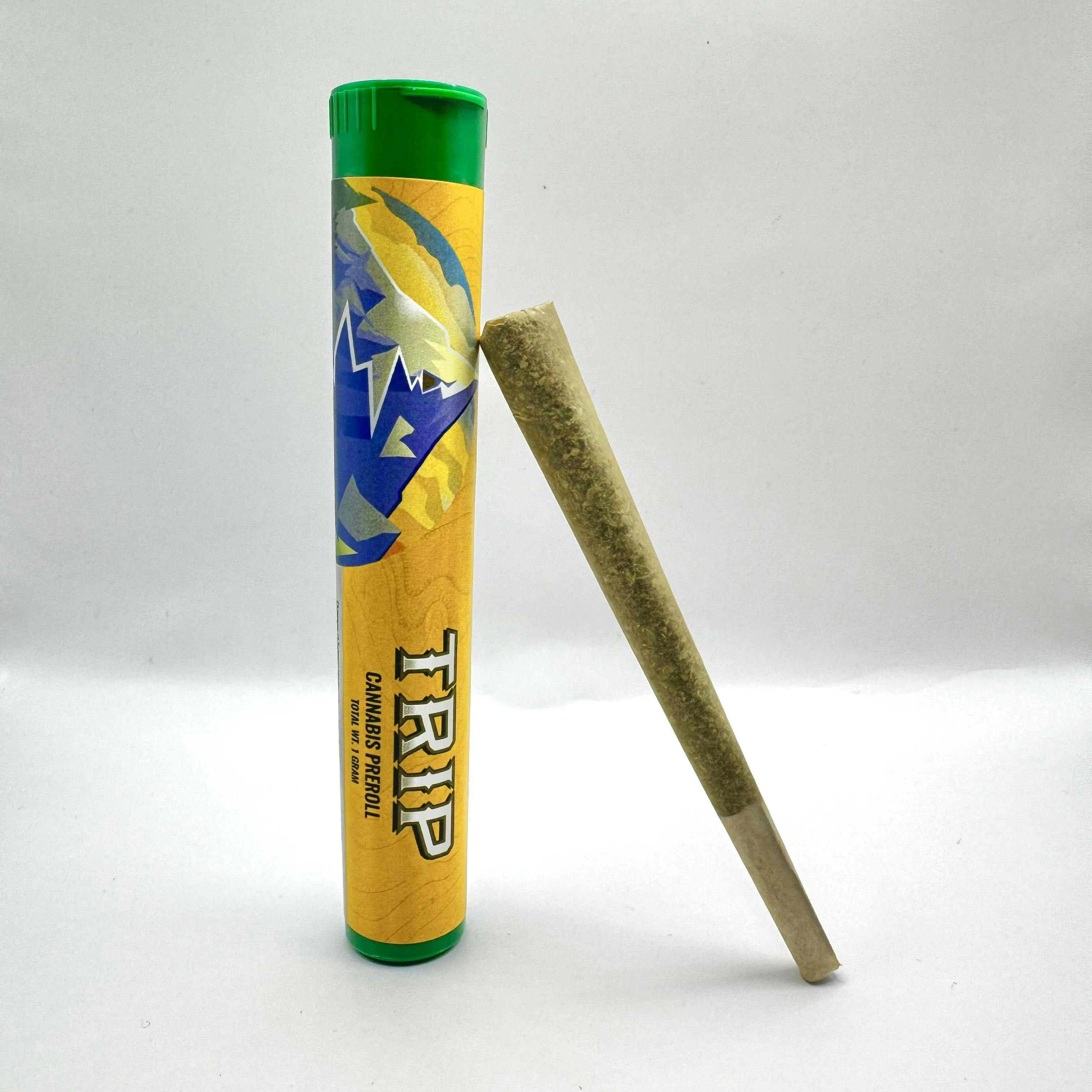 Trip Trip Infused Peach for Sale Online Sunny Daze