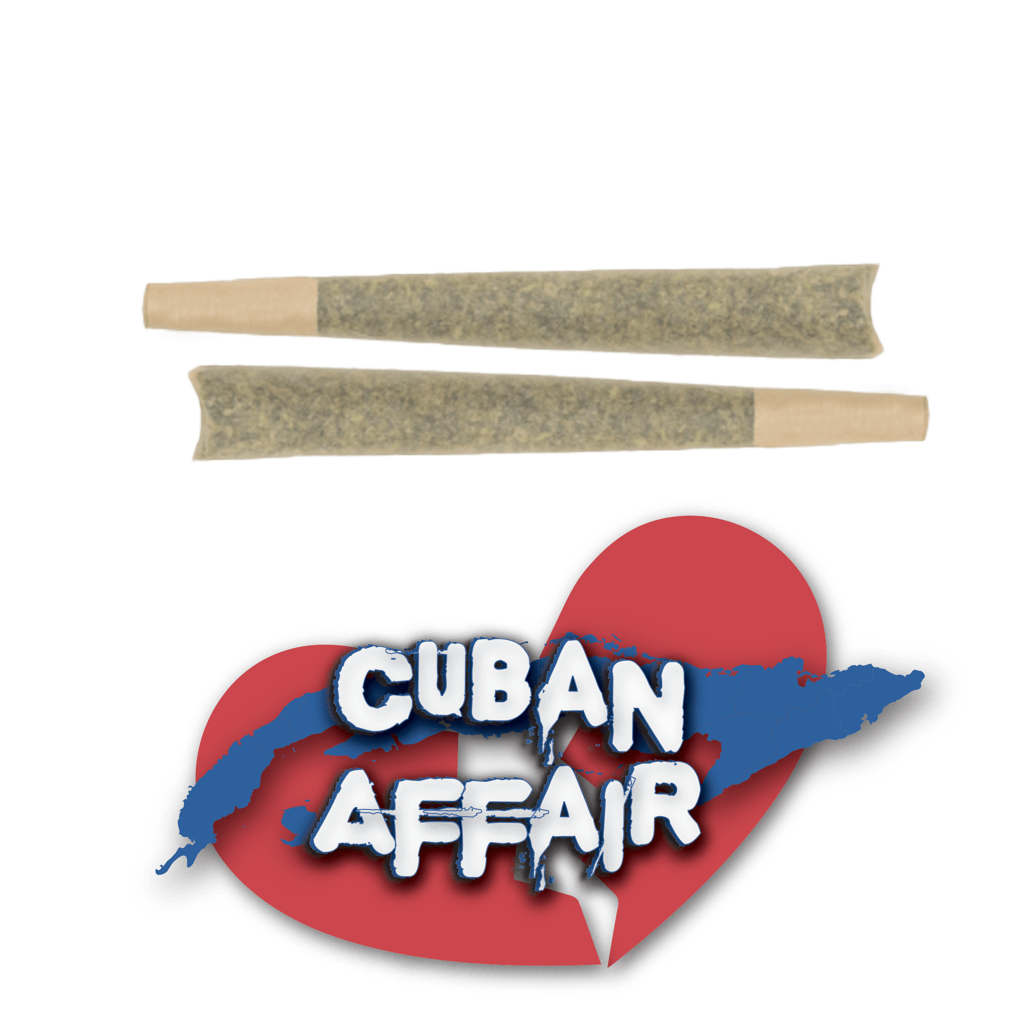 Major Bloom Cuban Affair PreRoll 2PK Major Bloom Cannabis Dispensary