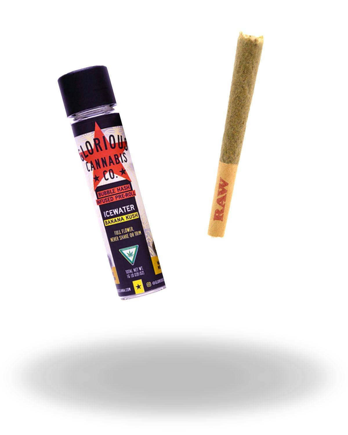 New Standard Glorious Cannabis Co. Banana Kush Icewater Bubble Hash