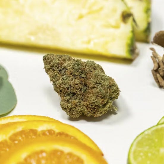 In The Flow Chemmy Jones 3.5g for Sale Online Sunny Daze Cannabis