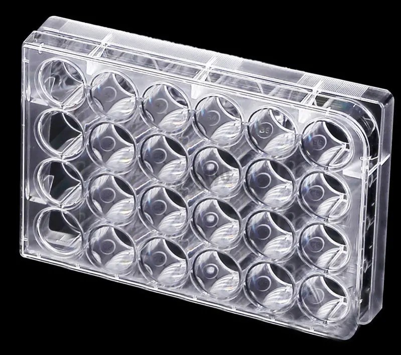 24well Plate