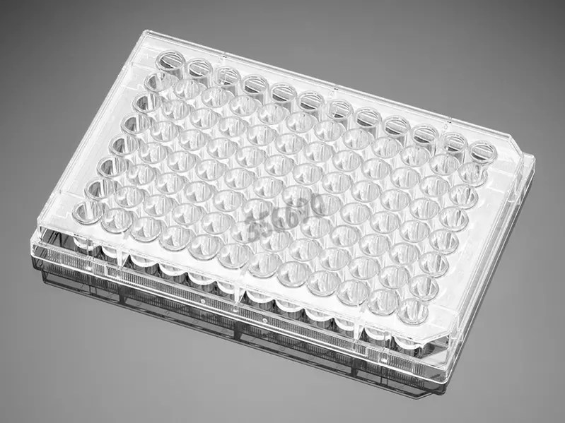 96well Plate Corning BioCoat™ PolyDLysine Corning®