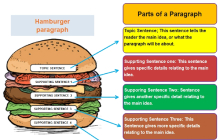 Free Editable Hamburger Paragraph Examples | EdrawMax Online