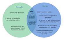 20 + Free Editable Venn Diagram Examples | EdrawMax Online
