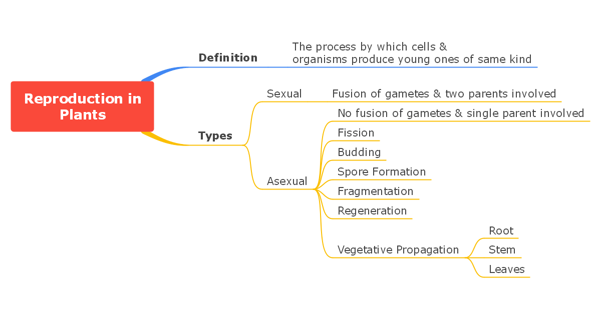 Reproduction Concept Map Template EdrawMind