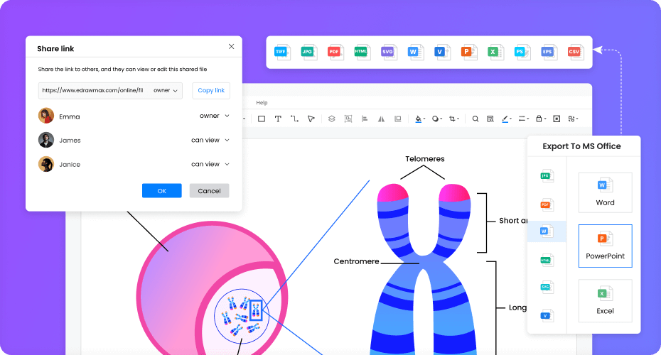 Free Biology Diagram Software with Free Templates EdrawMax