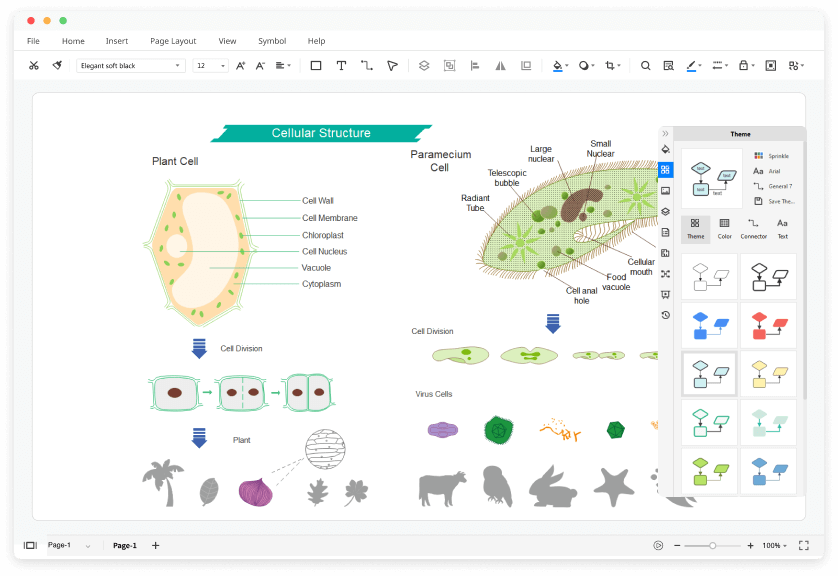 Free Biology Diagram Software with Free Templates EdrawMax