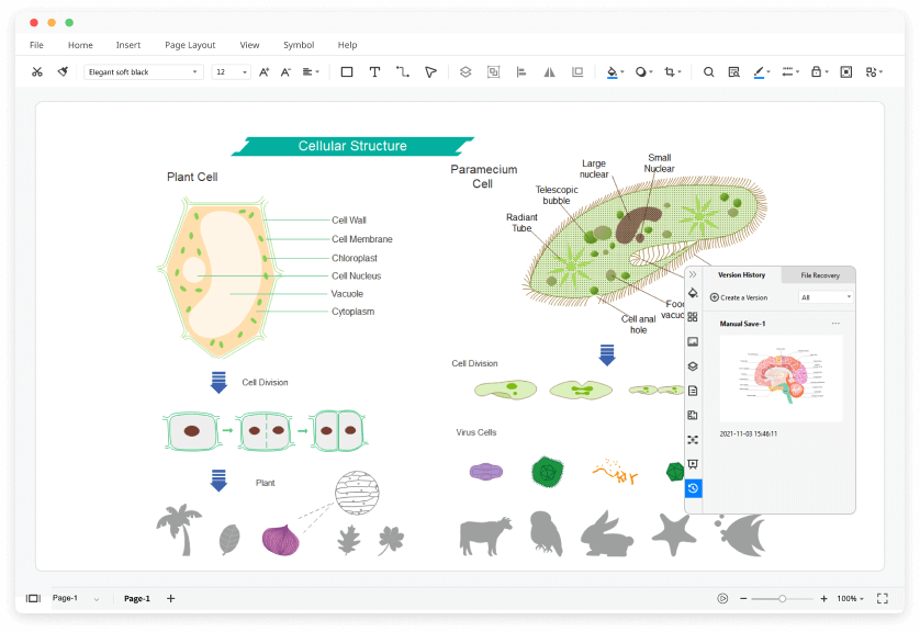 Free Biology Diagram Software with Free Templates EdrawMax