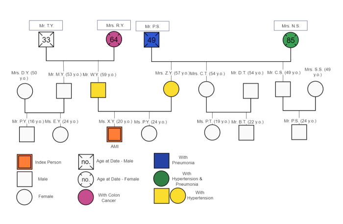 Logiciel génogramme avec des symboles et modèles gratuits How to draw the spider man