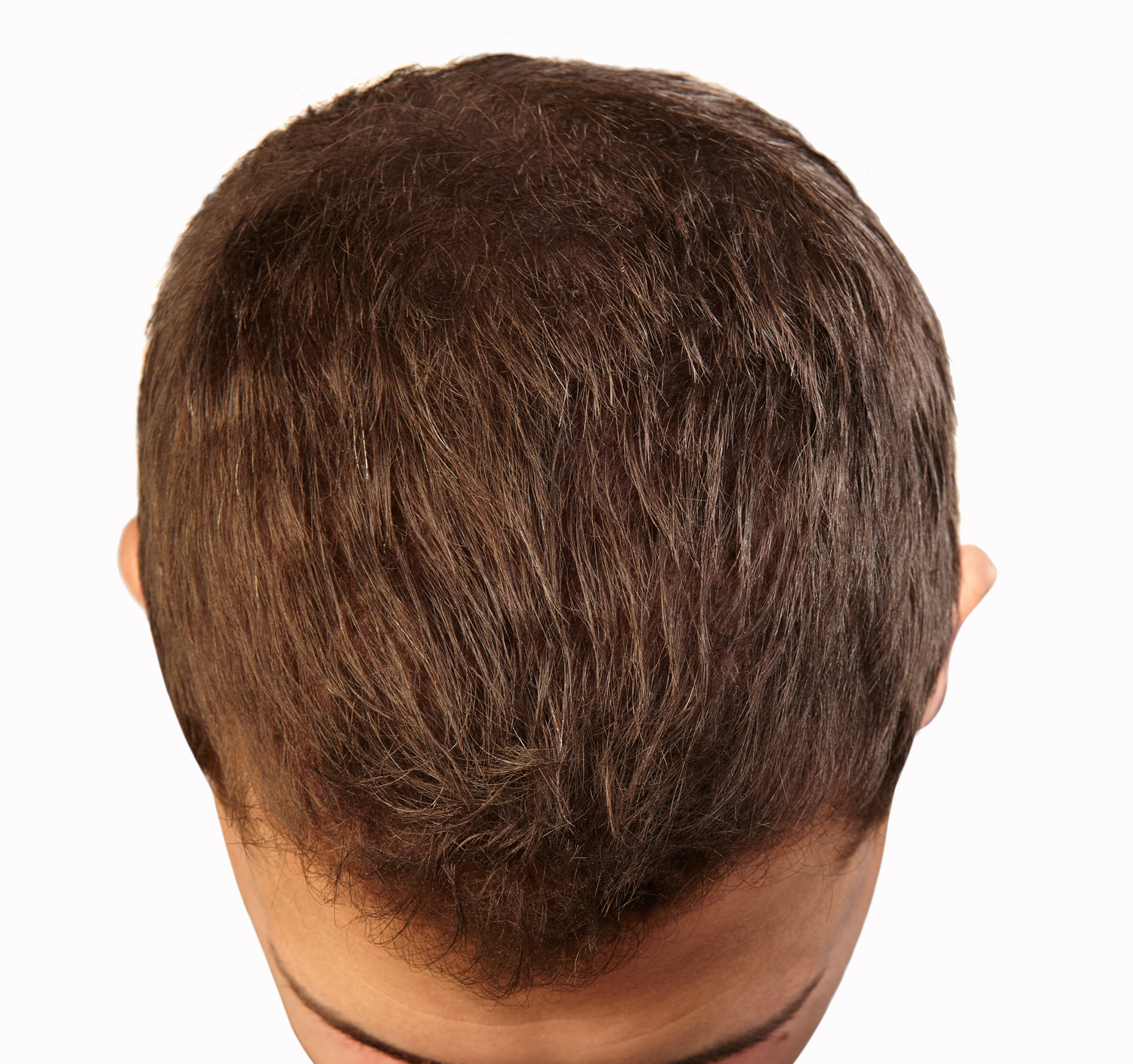 Capil’Actif Het Haar