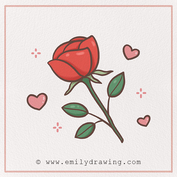How to Draw a Rose Emily Drawing