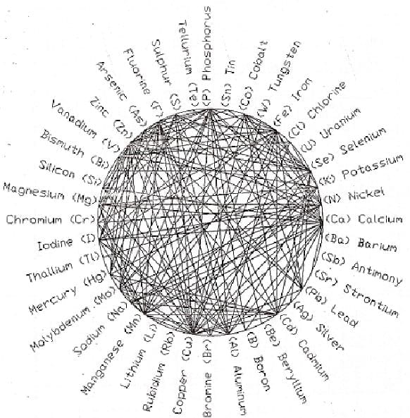 The Importance of Zinc in Animal Health Engormix