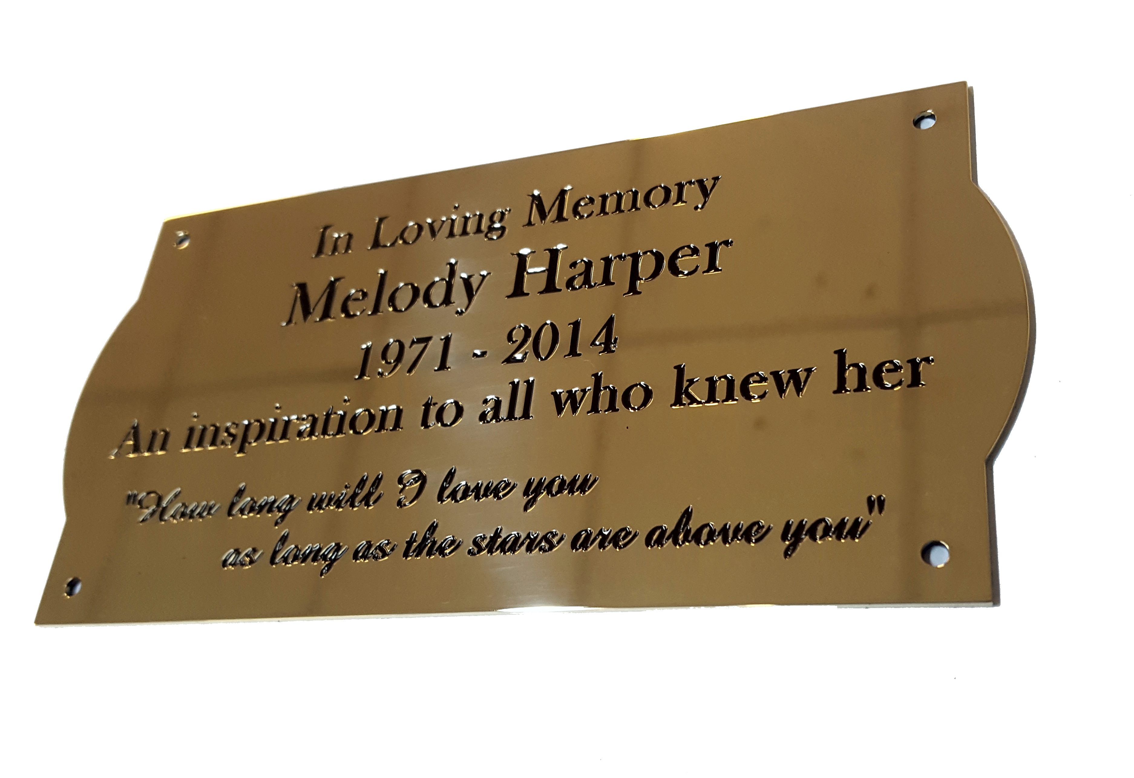 6"x3" Brass Engraved Plaque/Name plate curved ends.Deep Engraving in