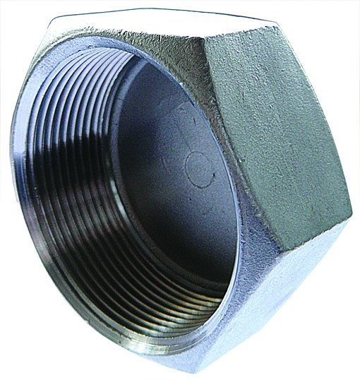 B600281 Cap Female Plug BSPP 1/2" BSP female hex cap stainless eBay