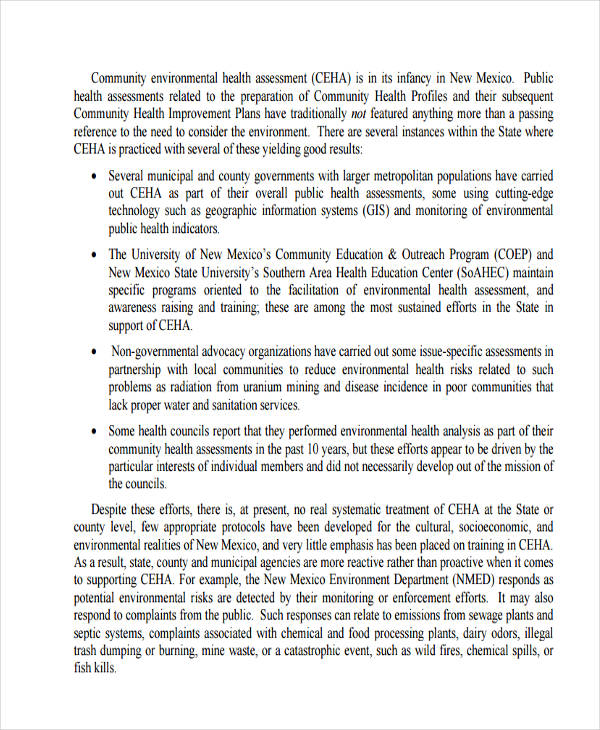 FREE 36+ Health Assessment Examples in PDF Examples