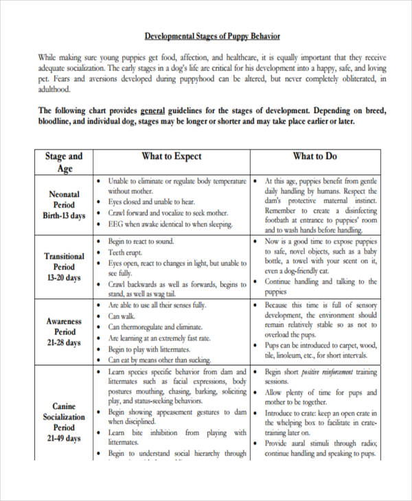 Behavior Chart 32+ Examples, Word, Pdf, Excel, Google Docs, Google Sheets