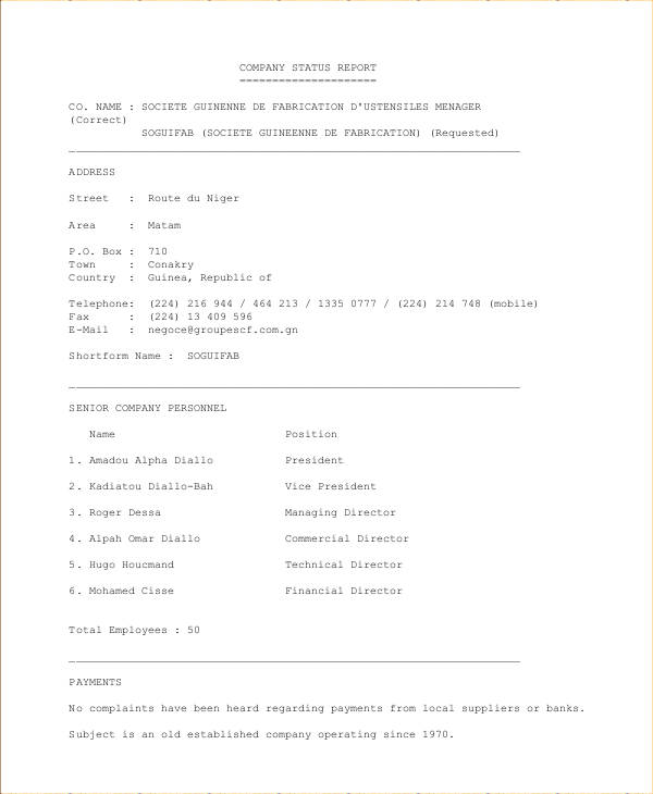 Status Report 9+ Examples, Format, How to Write, Pdf