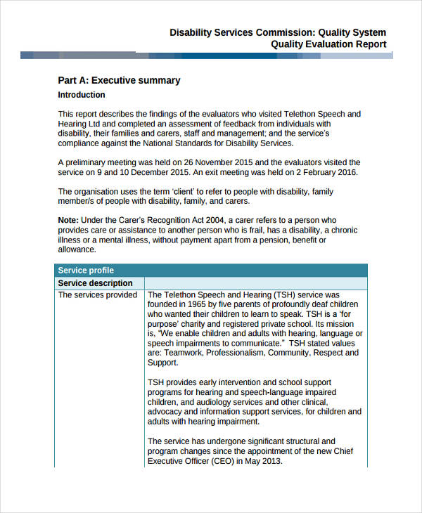 18+ Quality Report Examples in MS Word PDF Pages Google Docs