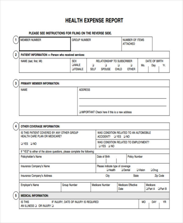 Expense Report Examples 18+ in MS Word Pages Google Docs PDF