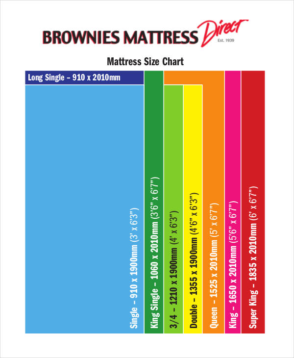 FREE 8+ Size Chart in Examples & Samples in PDF Examples