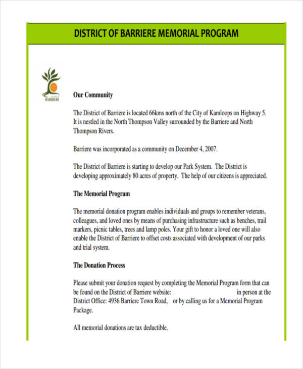 Program 32+ Examples, Format, Pdf