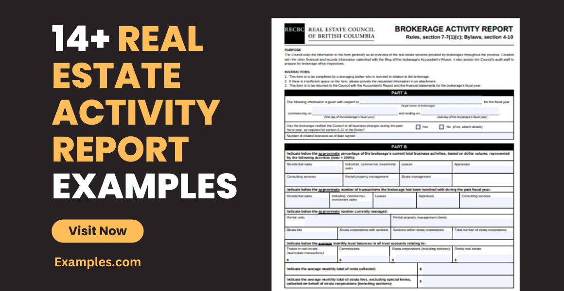 Real Estate Activity Report 14+ Examples, Format, Word, Google Docs, Pages, Pdf