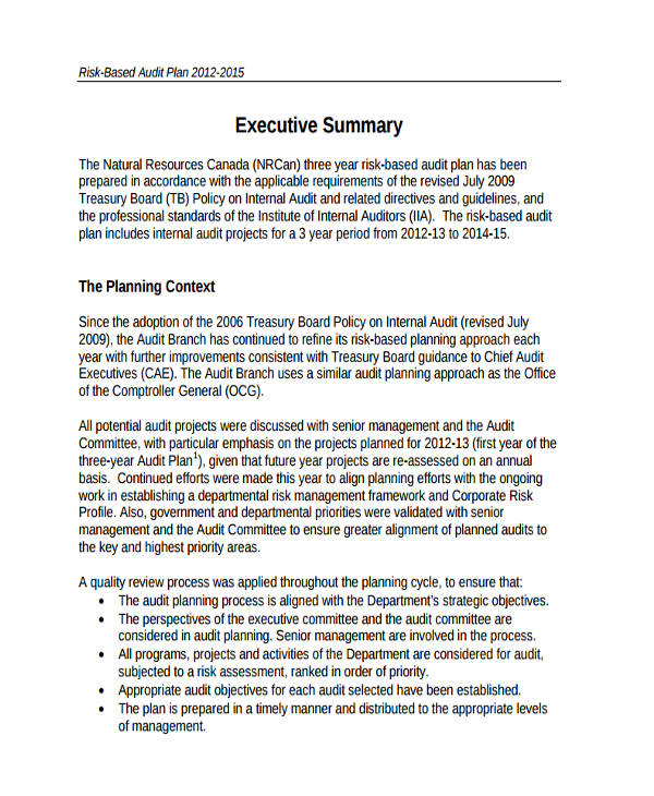 FREE 8+ Audit Plan Examples & Samples in Google Docs Word Pages