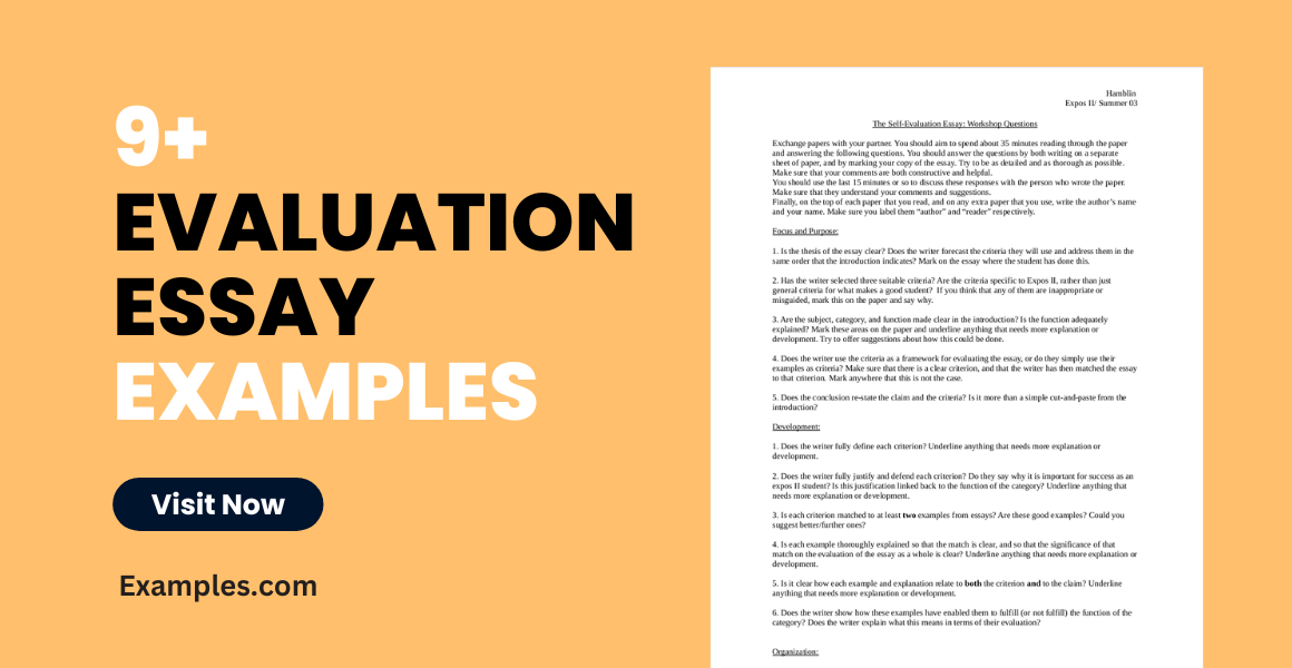 example of evaluation essays