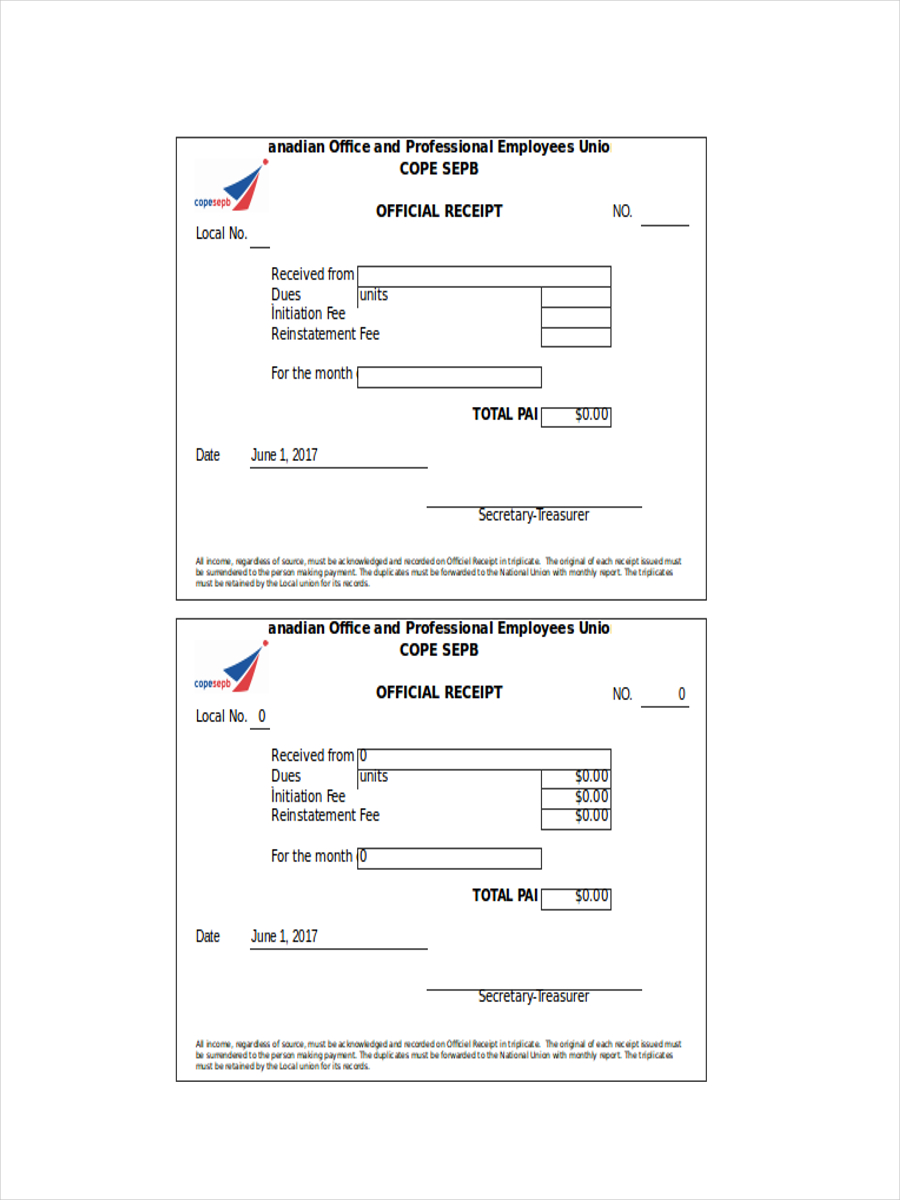 Receipt in Excel Examples, Format, Sample Examples