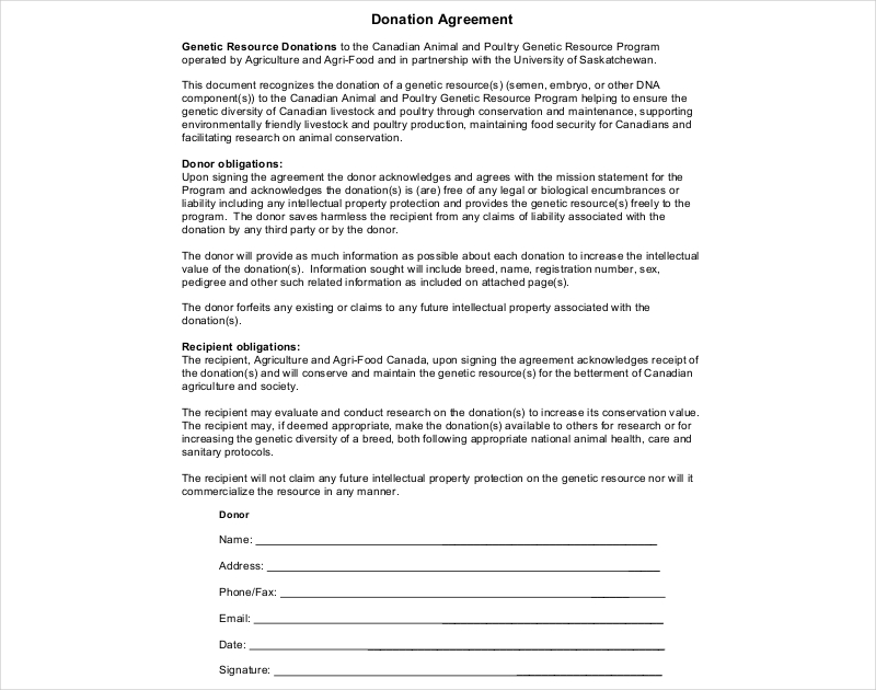 Donation Agreement 19+ Examples, Format, PDF Pdf