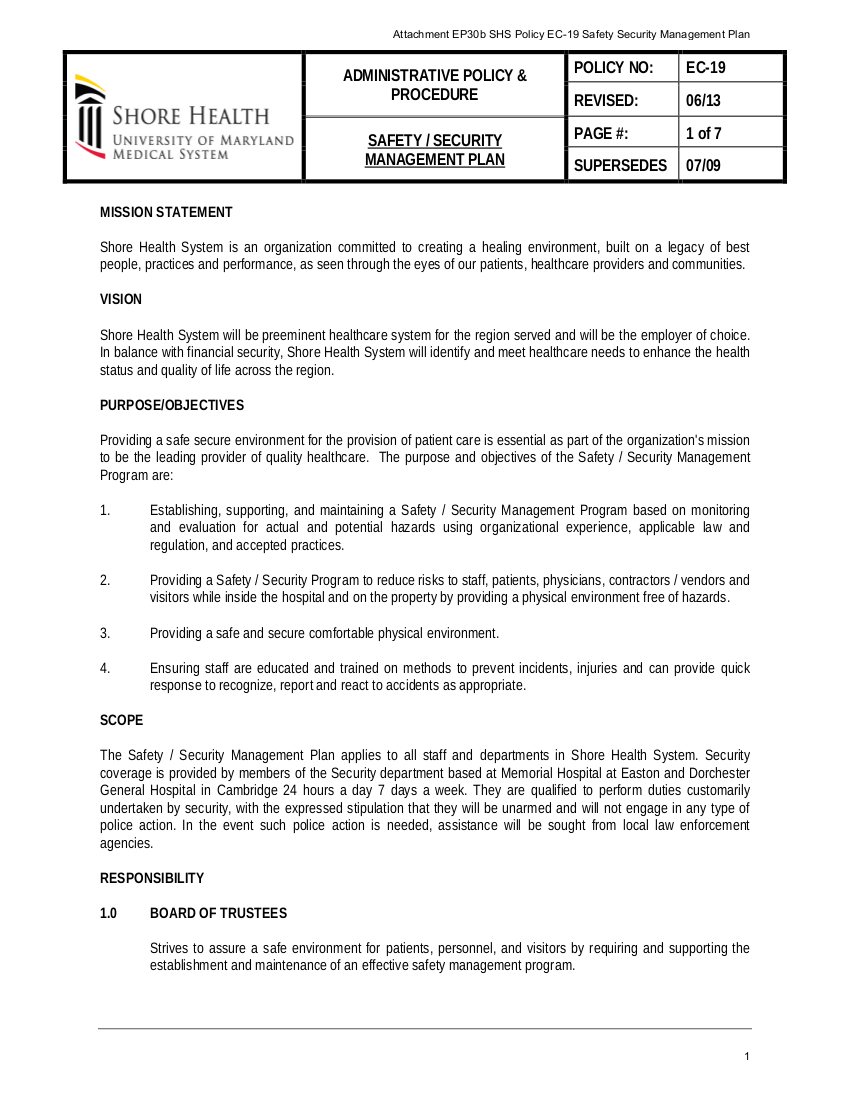 28+ Management Plan Examples PDF, Word Examples