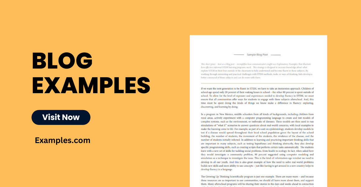 Blog 20+ Examples, PDF, How to Create