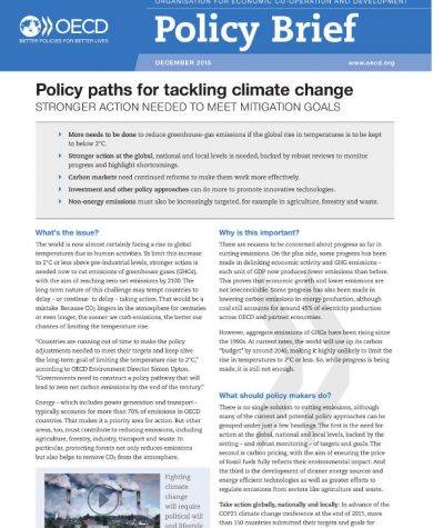 16+ Policy Brief Examples to Download