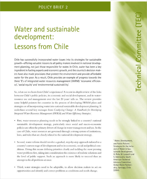 20 Brief Templates And Examples Pdf Examples