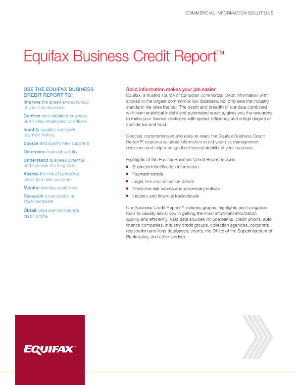 17+ Simple Business Report Examples PDF, Word Examples